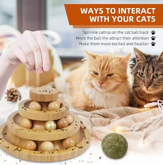 Wooden Cat Ball Track Toy New round Kitten Teaser