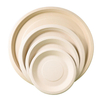 11 inch Round Plate