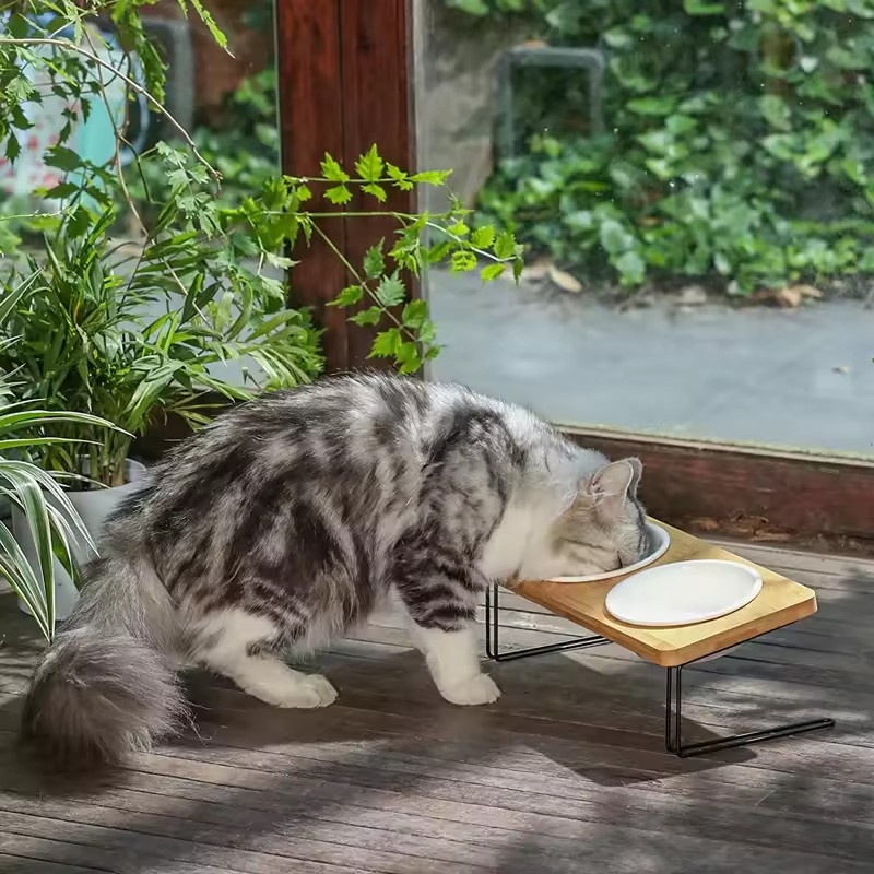 Bamboo Water Stand Feeder Raised Cat Food Bowl 