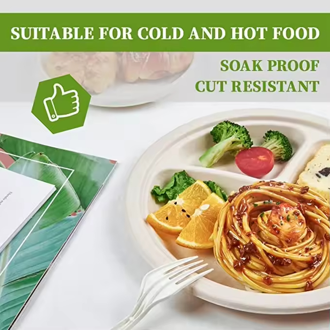 10 Inch 3-Compartment Round Plate