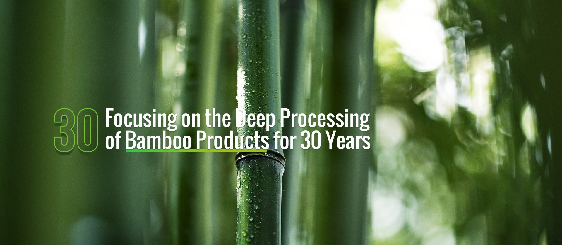 How to make and process bamboo products