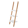 Freestanding Corner Storage Shelf