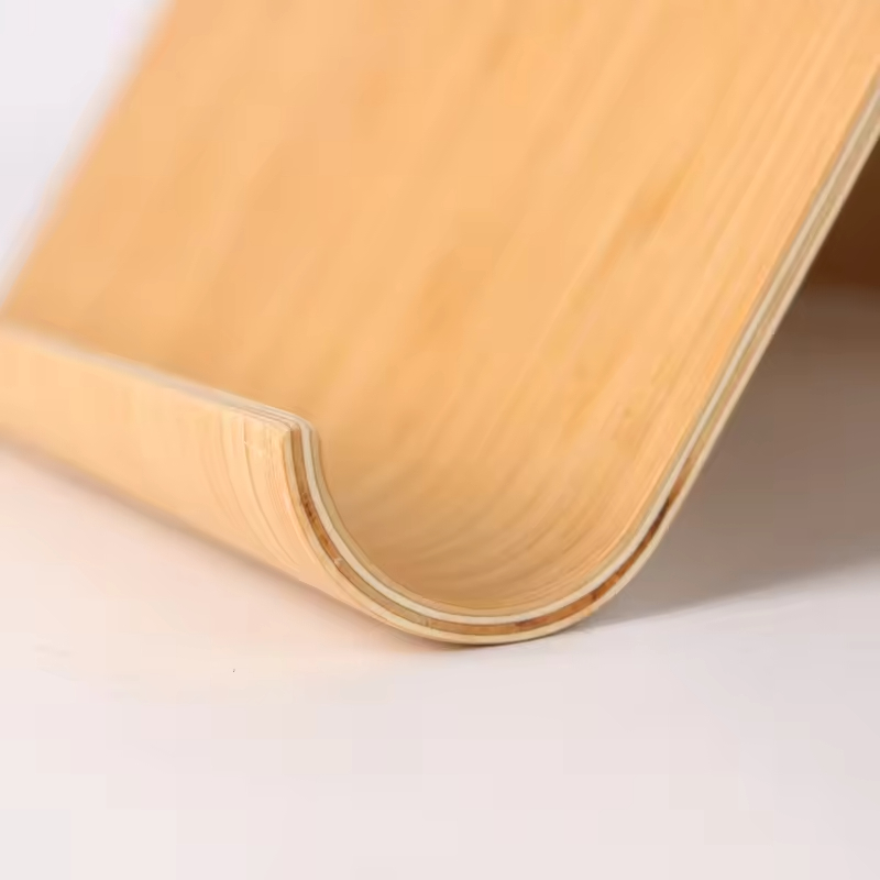 IPAD /Book Holder