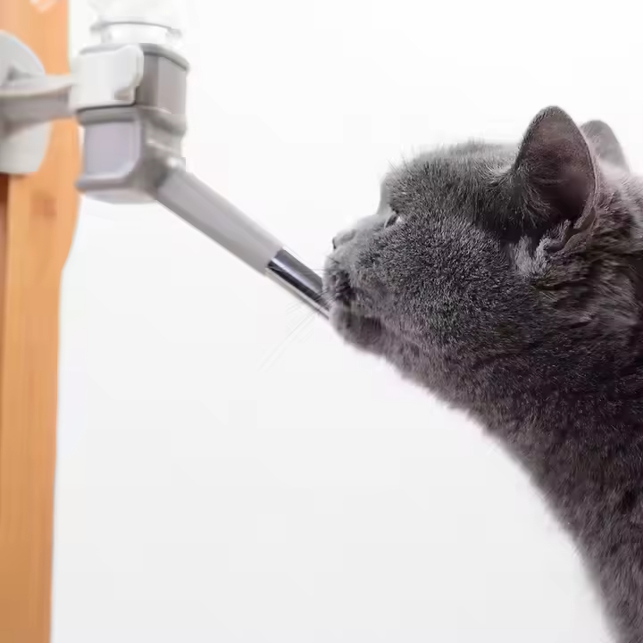 Eco-Friendly Pet Feeder Automatic Water Dispenser for Cats or Dogs 