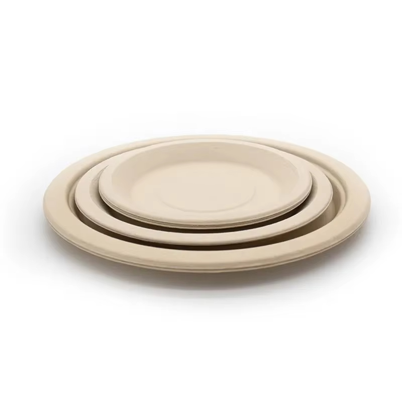 11 inch Round Plate
