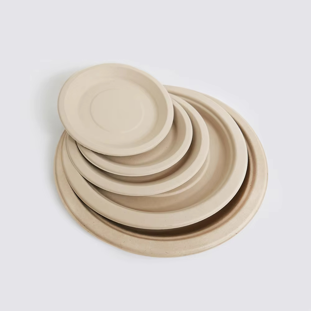 11 inch Round Plate