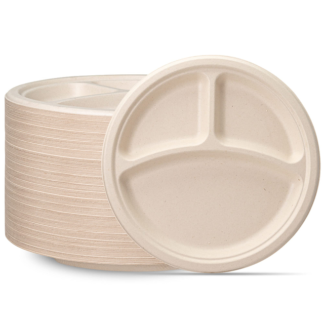 10 Inch 3-Compartment Round Plate